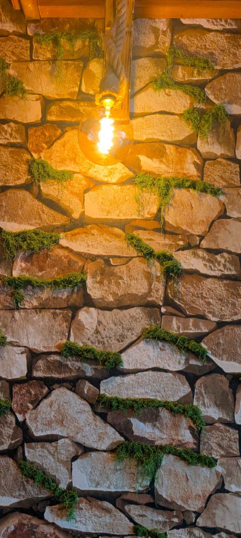 WhatsApp Image 2026-02-18 at 13.18