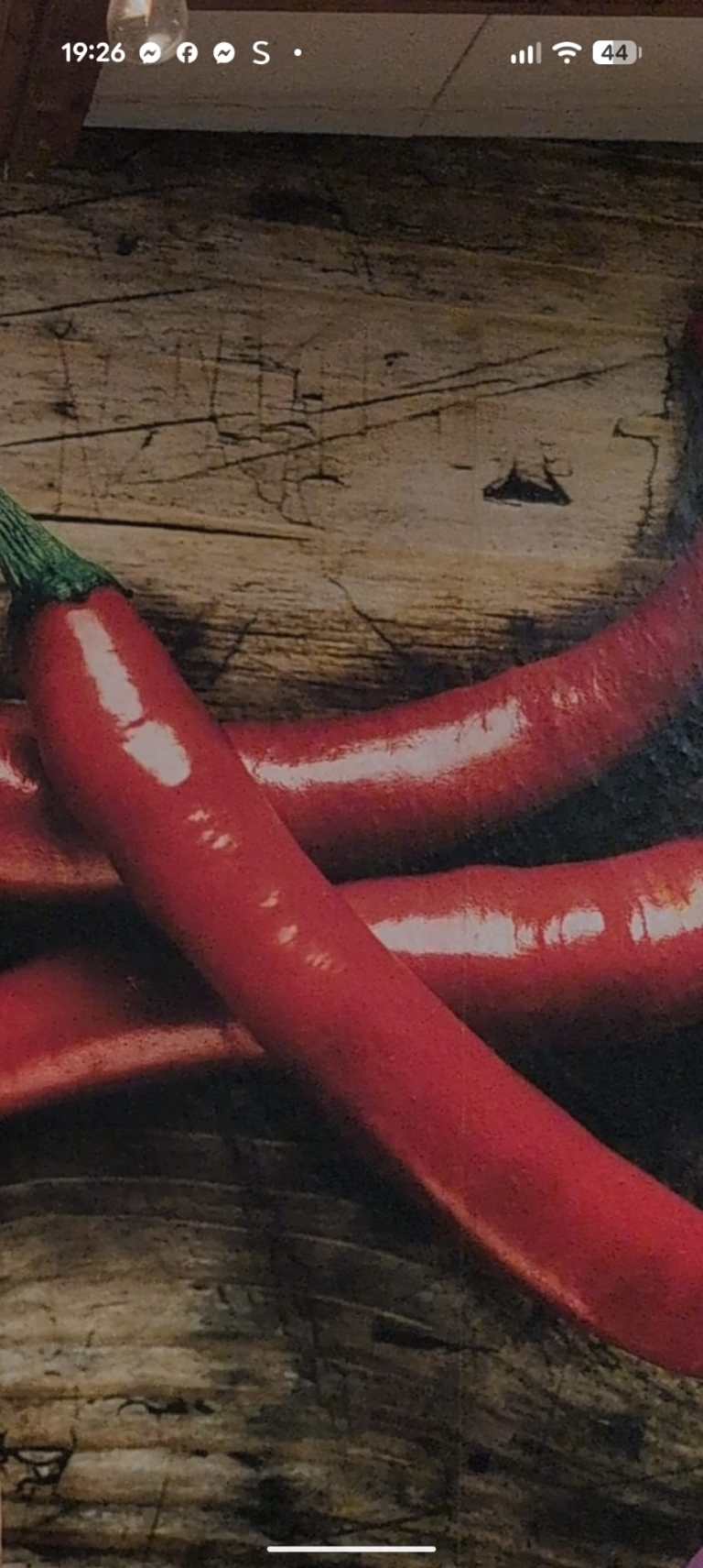 WhatsApp Image 2026-02-18 at 13.18