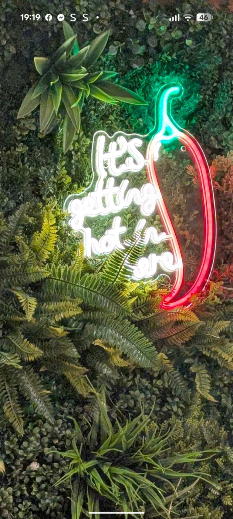 WhatsApp Image 2026-02-18 at 13.18